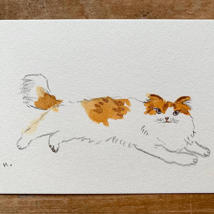 5fe6bb03 4e02 4f14 9109 d0fef0f2feb2 1588411177651