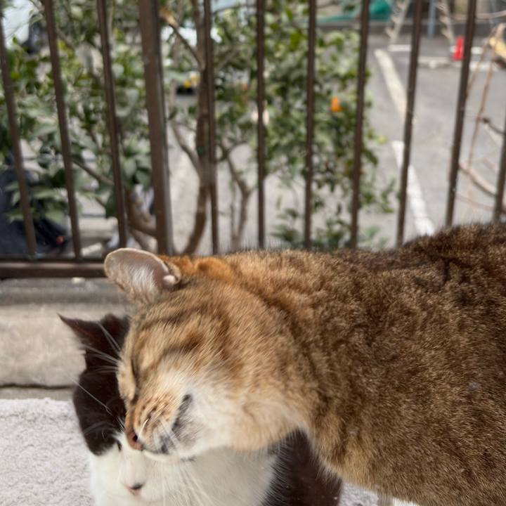 5fe6eb89 06bc 4cc0 a843 dc2ea57efbb6 1772436348492