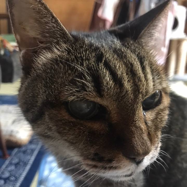 5fe71dc7 e089 4518 a197 d6ef6baaff76 1558171804844