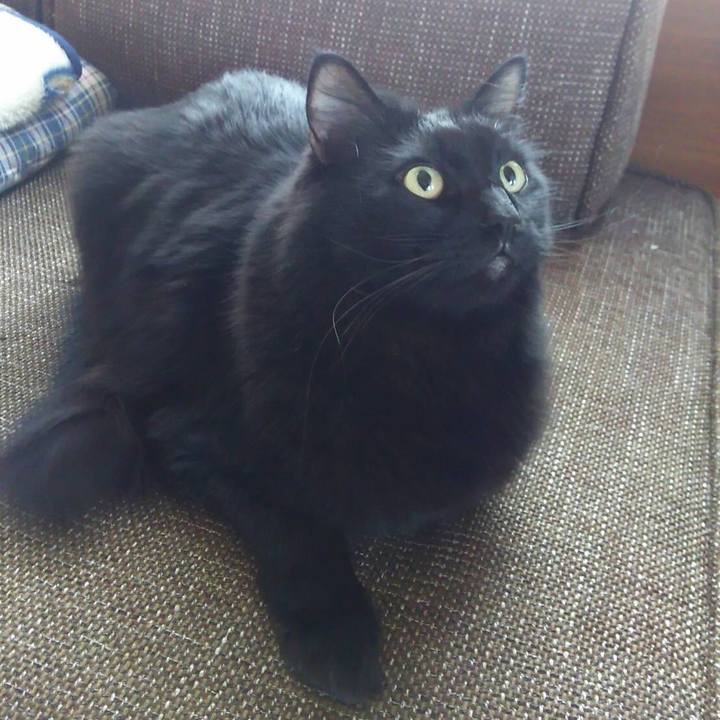 5fe73b42 f38b 4a98 bcf0 f4a1276c31fa 1509861557942