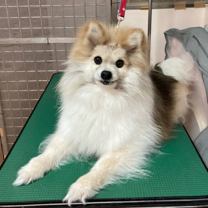 5fe7436b cdff 4626 986c 44f41b5fa903 1640689475124