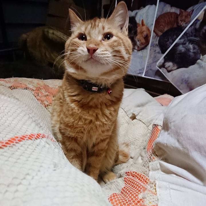 5fe74a38 81bf 4a56 ac6b 56bac1b8ca1a 1642711609446