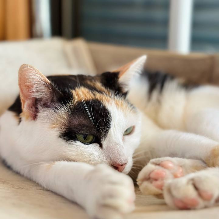 5fe75e5e a9eb 4cec bd23 ce9b12df4477 1663296497907