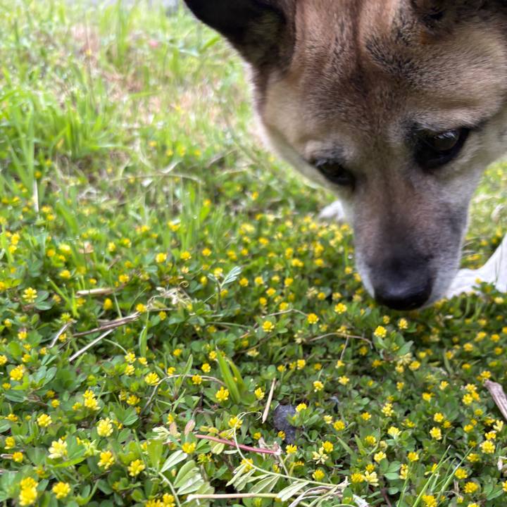 5fe78295 e358 4868 afd9 f41ee19b5f3b 1744980497942