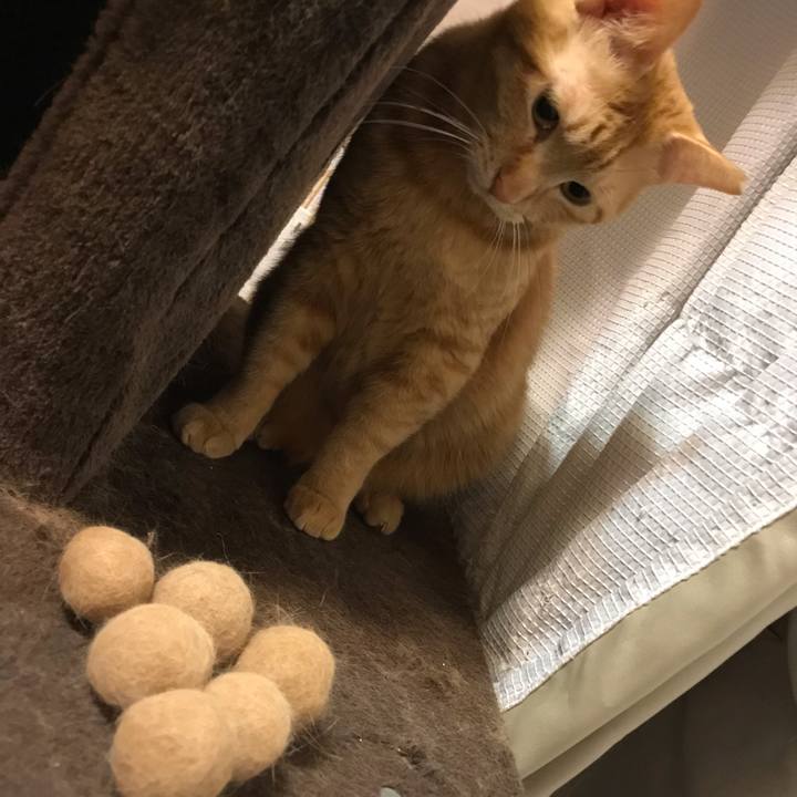 5fe78994 0f32 437e 92e5 c1c42dafb85e 1589797065145