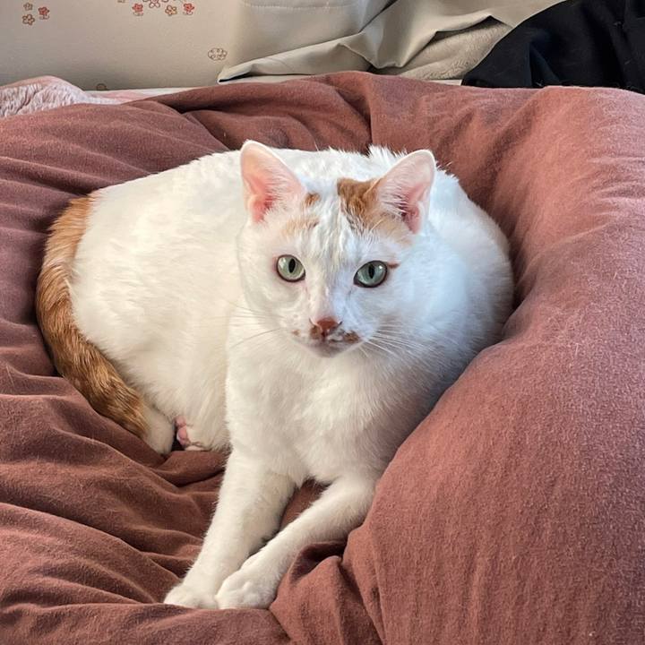 5fe7958c 12c9 4982 b420 7049db02a076 1646835876741