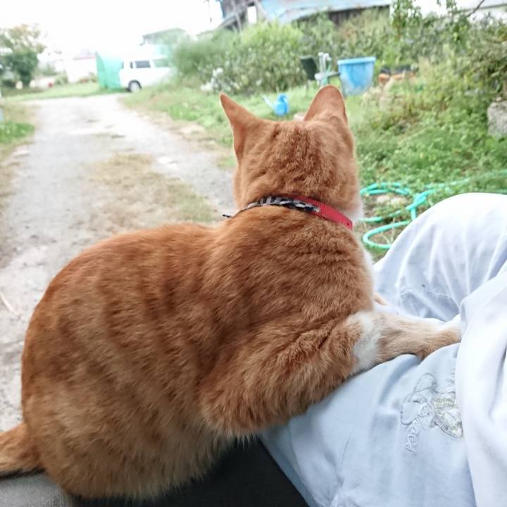 5fe8142c c296 4278 91d1 4c42ee030955 1569875910811