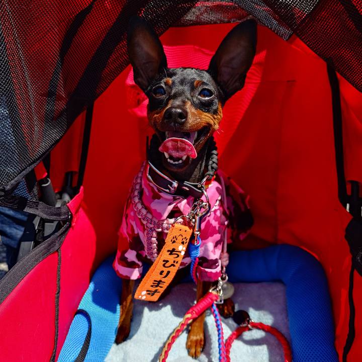 5fe8210d 211f 4116 b81e d09583ec47e0 1775974948383