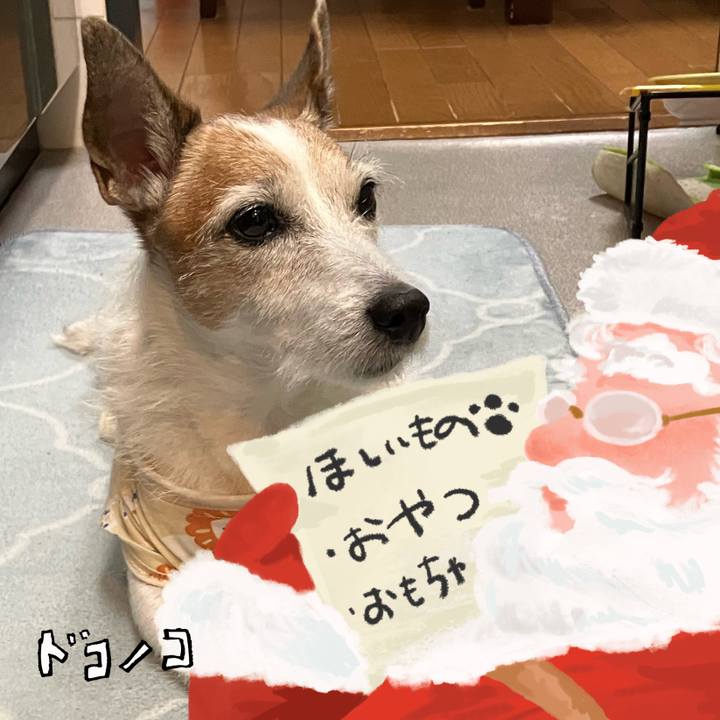 5fe8574b 4bc2 40ac 85db 5a9cca2a15aa 1731367044254