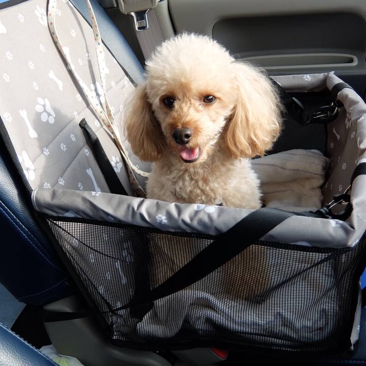 5fe85b7c f147 49d4 8b03 1f50a363759f 1573977115255