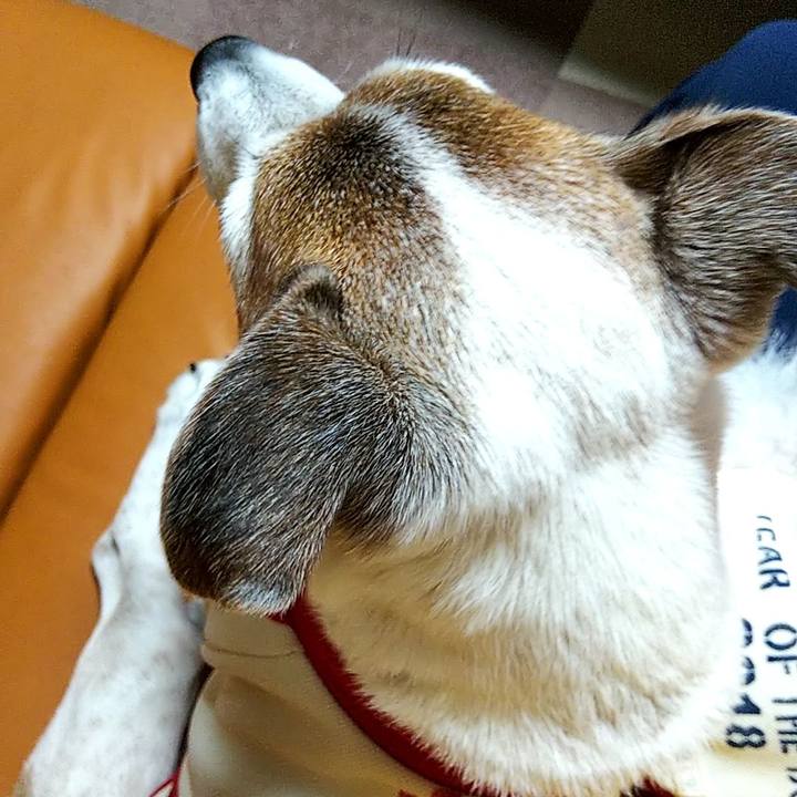 5fe86cfa 3c0d 45c0 b313 05cdc0f80a1a 1582940198964