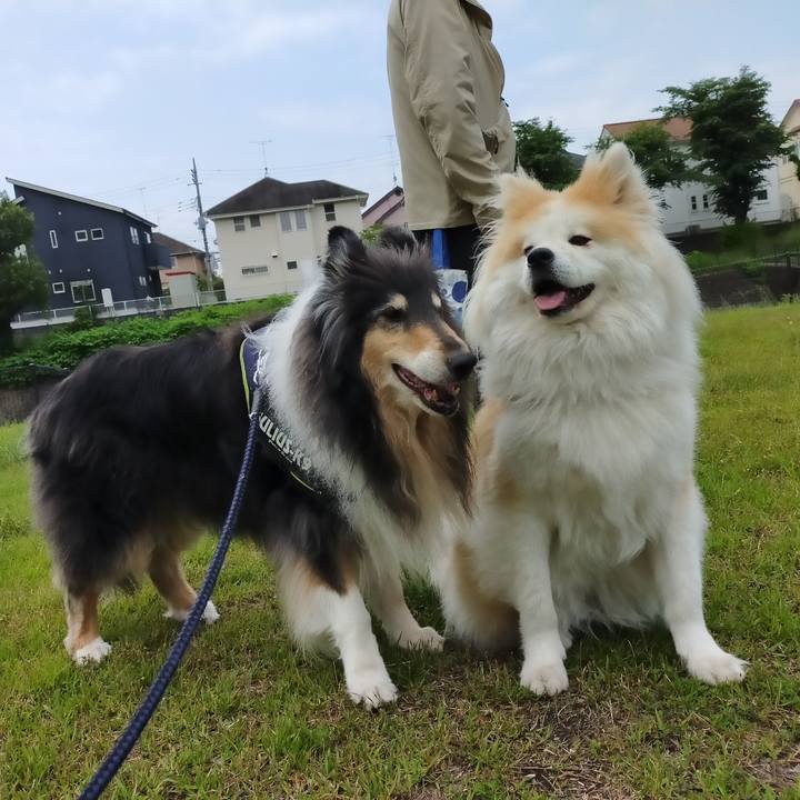 5fe88a45 e48c 4e17 833c 712b084adfc2 1622375330657