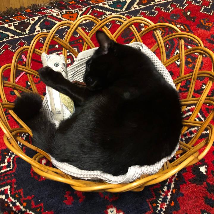 5fe8a4b5 80c7 4ac4 afcf 495bd5717022 1607690695135