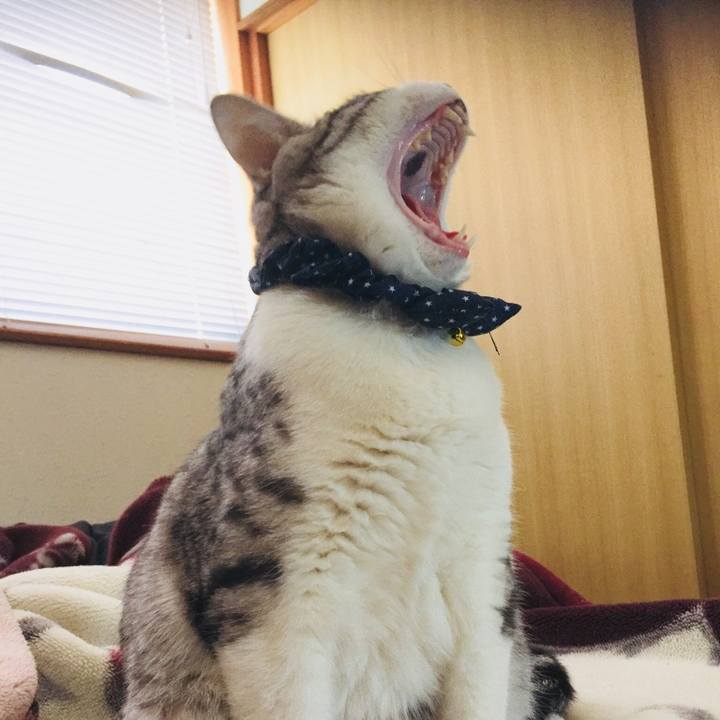 5fe8bbec 3604 4c5a 8f4f 002d157650e6 1525130712512