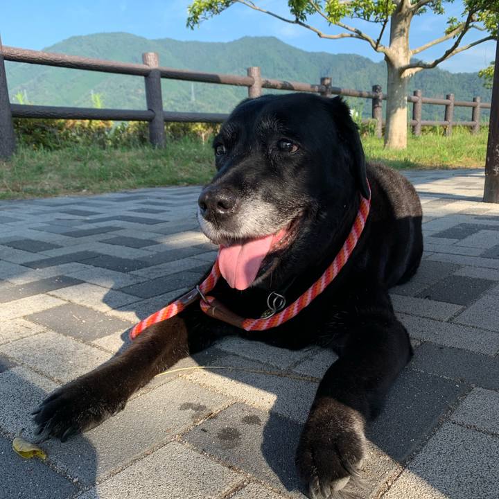 5fe932c1 1af8 4778 908c 5707eacdffa2 1627946148447