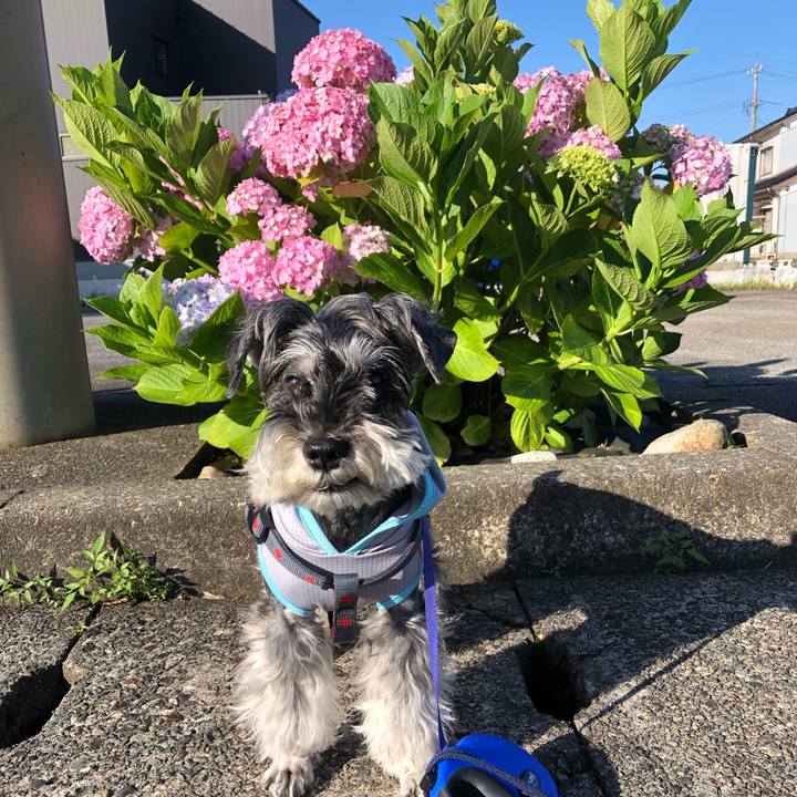 5fe948b1 e16b 458e a65a b46b9ccbf868 1686966353853