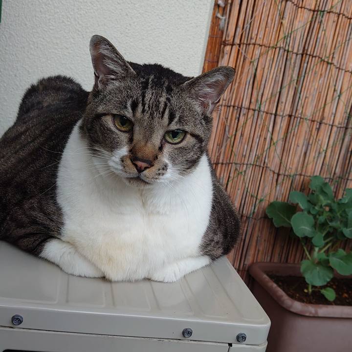 5fe94fab d17b 4eb2 8569 2ac72cdfc238 1669674497485