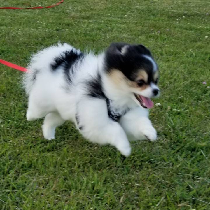 5fe9511c b98a 4921 9c4b c7692772b27d 1557575281942