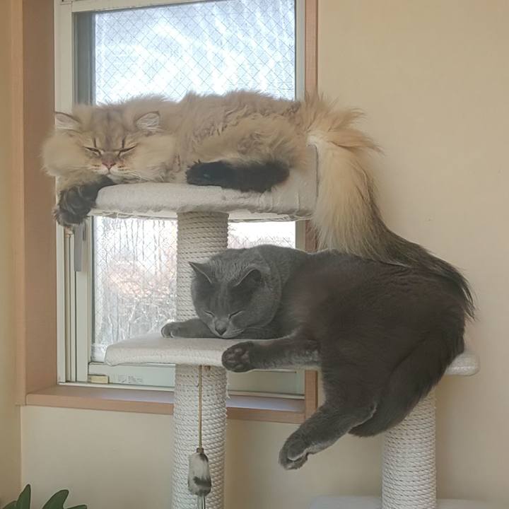 5fe97344 7b48 455c ab33 3438988831d8 1579409018158