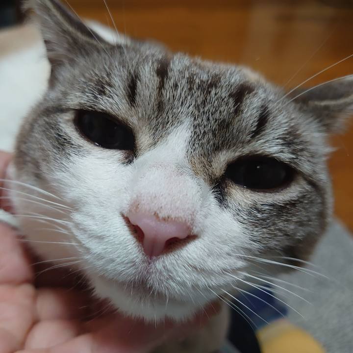 5fe984c2 7644 4221 b2ee 5dc39851d5f1 1620212434564