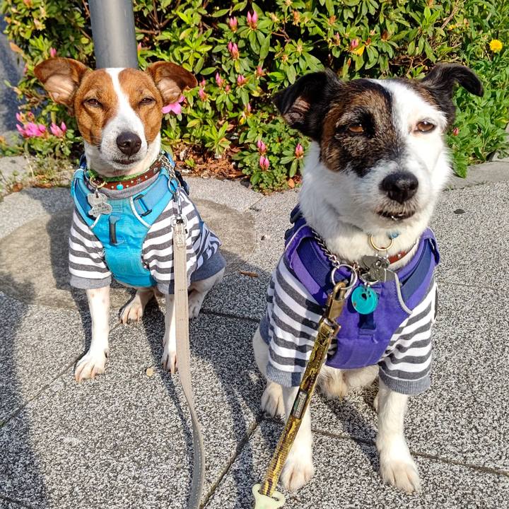 5fe9882d 62f7 4cc3 b9d3 0fa16f745d31 1649803143160