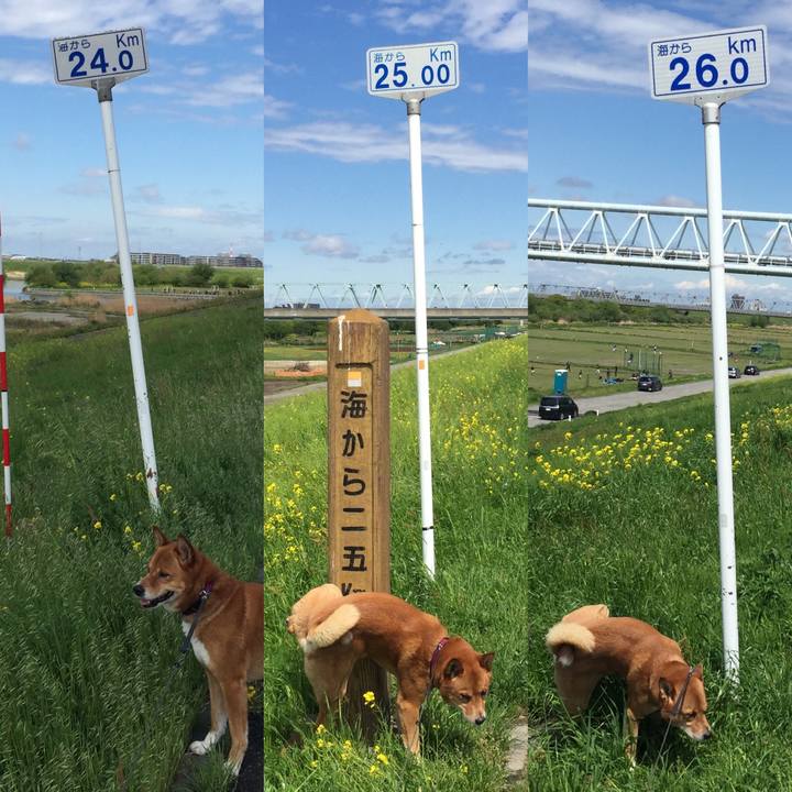 5fe98e85 5a5c 4853 97e9 4982b637dea2 1667386851734