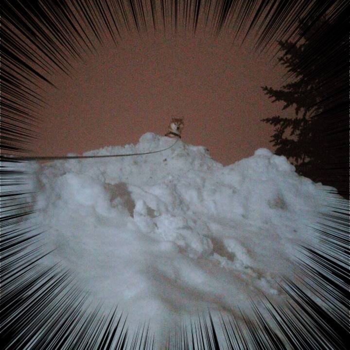 5fe9a1a6 204b 4d94 b468 d381de3b4e08 1516365364315