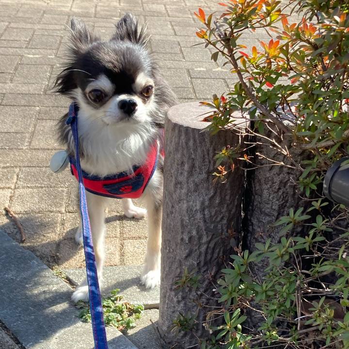 5fe9adc3 7423 4a27 9d11 5dcbd2f3f0bc 1707578022720