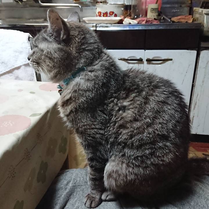 5fea1b18 ab8e 4f0a b567 d7301b23611b 1571884290718