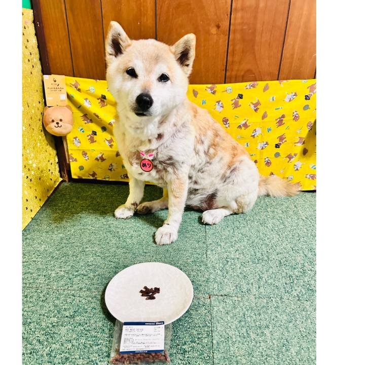 5fea23e4 403a 42b9 ac06 522a48ddb2f9 1746873451411