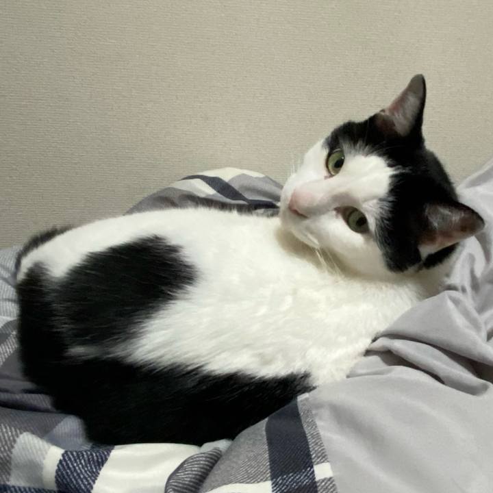 5fea34b6 fdf4 4c2a 8e93 3fab3902c7f5 1697800290362