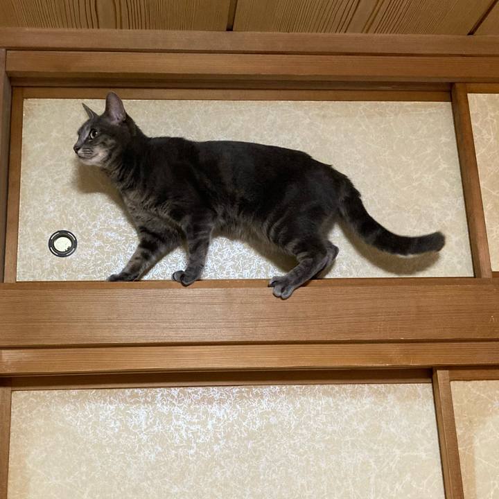 5fea9084 772d 4bec 8c9c f2b0e6927ca7 1630499746949