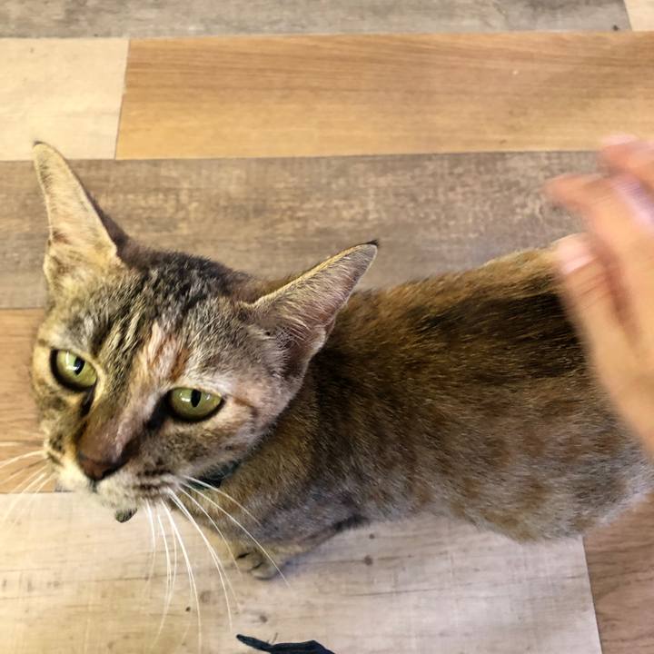 5feab2a2 4ac9 4271 9d7f 374bb42951f8 1596275644625