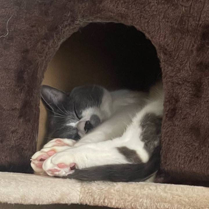 5feac014 aa0e 4c9d 923c 9cbaf58b6304 1688195134836