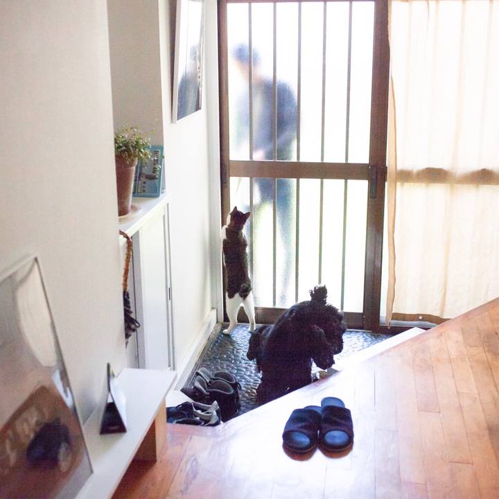 5feac4fd 0537 443e 865d d2c47f4b227c 1558453512932