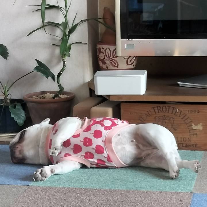 5feb0975 d60e 4fbc a14f d1e3a9dd933c 1679006440575