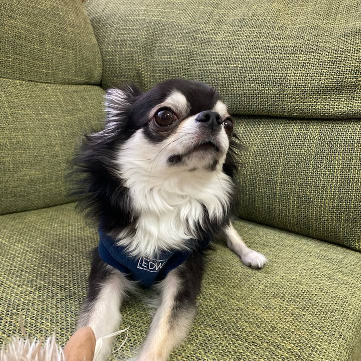 5feb2e83 1eb1 4846 afb3 d373cd86a03e 1677162871321