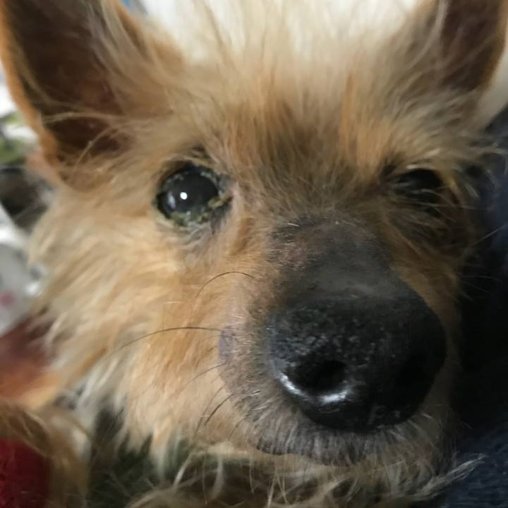 5feb348a 8f9a 4077 bdd4 f8c2c52e46b6 1523705692087