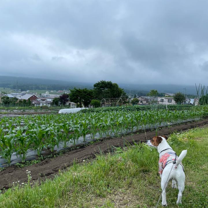 5feb407f b584 480a bc24 1e7c5216b09f 1623670949634