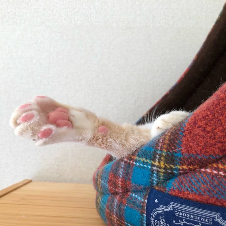 5febf5bf 21a5 4d37 817e df9cd52c9b5d 1560484602518