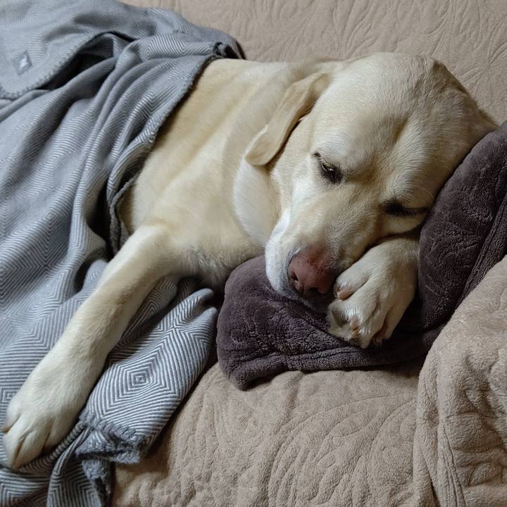 5fec279c fbc8 456a b5fd cd8fcf3499a1 1649926455978