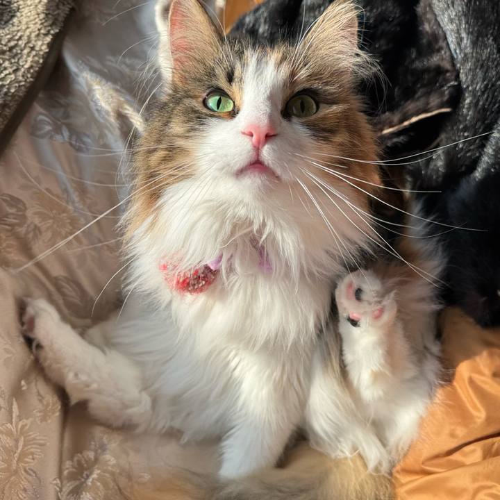 5fec28a4 f568 4bbd b389 1e98e93a2e81 1768802454037