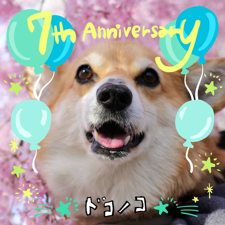 5fec5504 9eef 4b76 bec9 8592e9a664ce 1685970124821