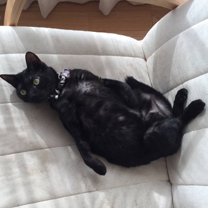 5fec8c6f 8da0 4ec2 b74b 8302bcfa5665 1520992040799