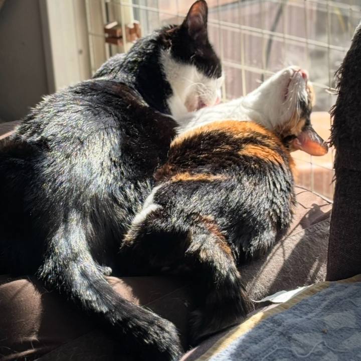 5fec92c1 ab8a 4732 a2f7 77afd73358ce 1771637253202