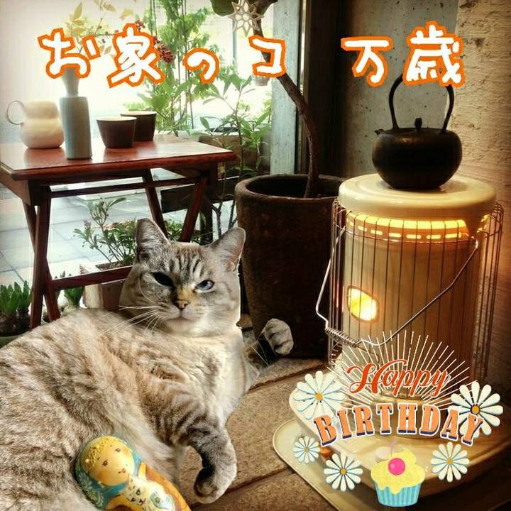 5feca5bf bd2d 4d43 9b66 9bc35a5a1cc4 1547725477954