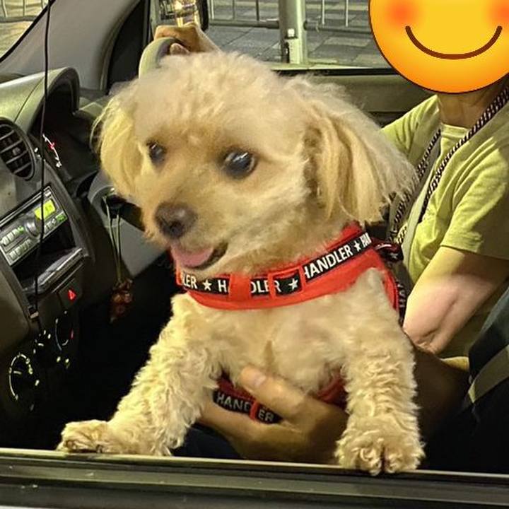 5fecb4a9 3241 43de ae7e 971786b4af68 1693303767572