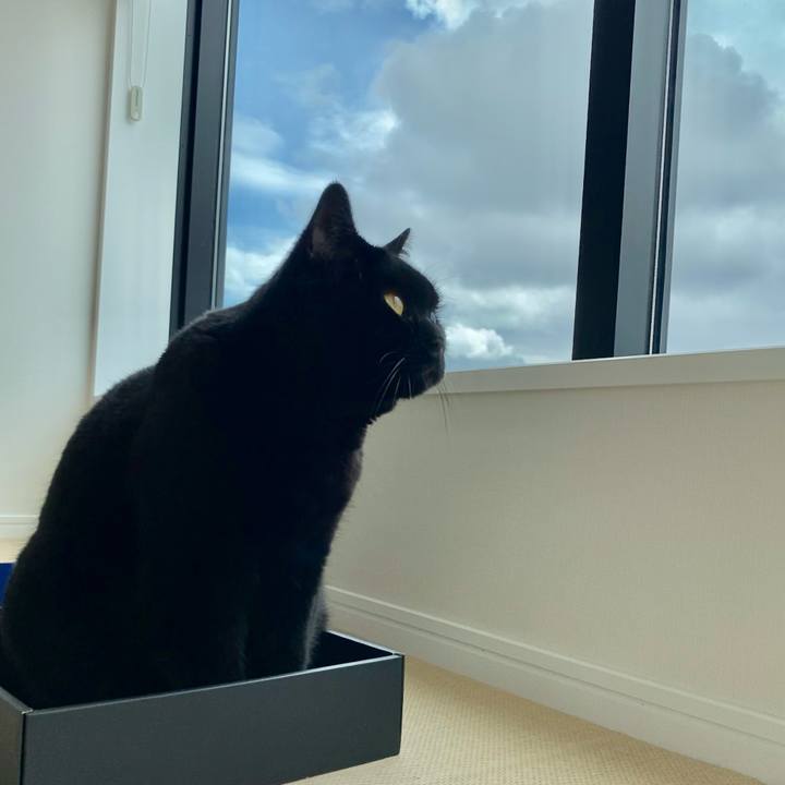 5fecb4ce faac 4f0b 93c8 01318c4e2c00 1649133405883