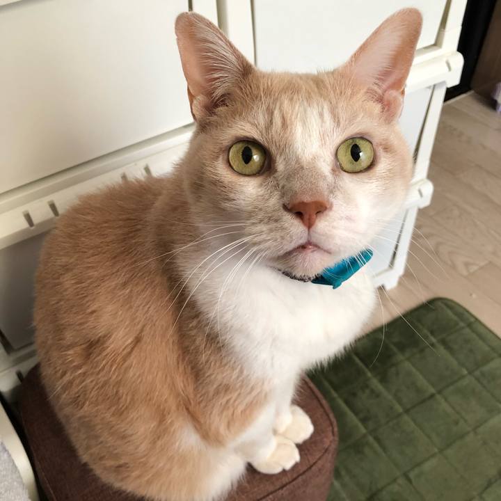 5fecb7d0 7f37 422e 9035 555187bad76e 1616538959311