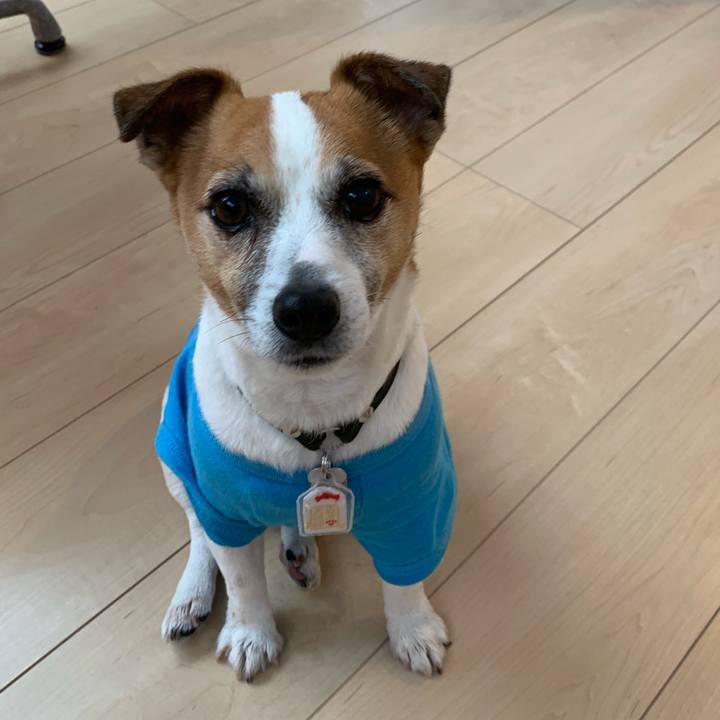 5fece48b 9042 4691 982c e57f691430f4 1615623429828